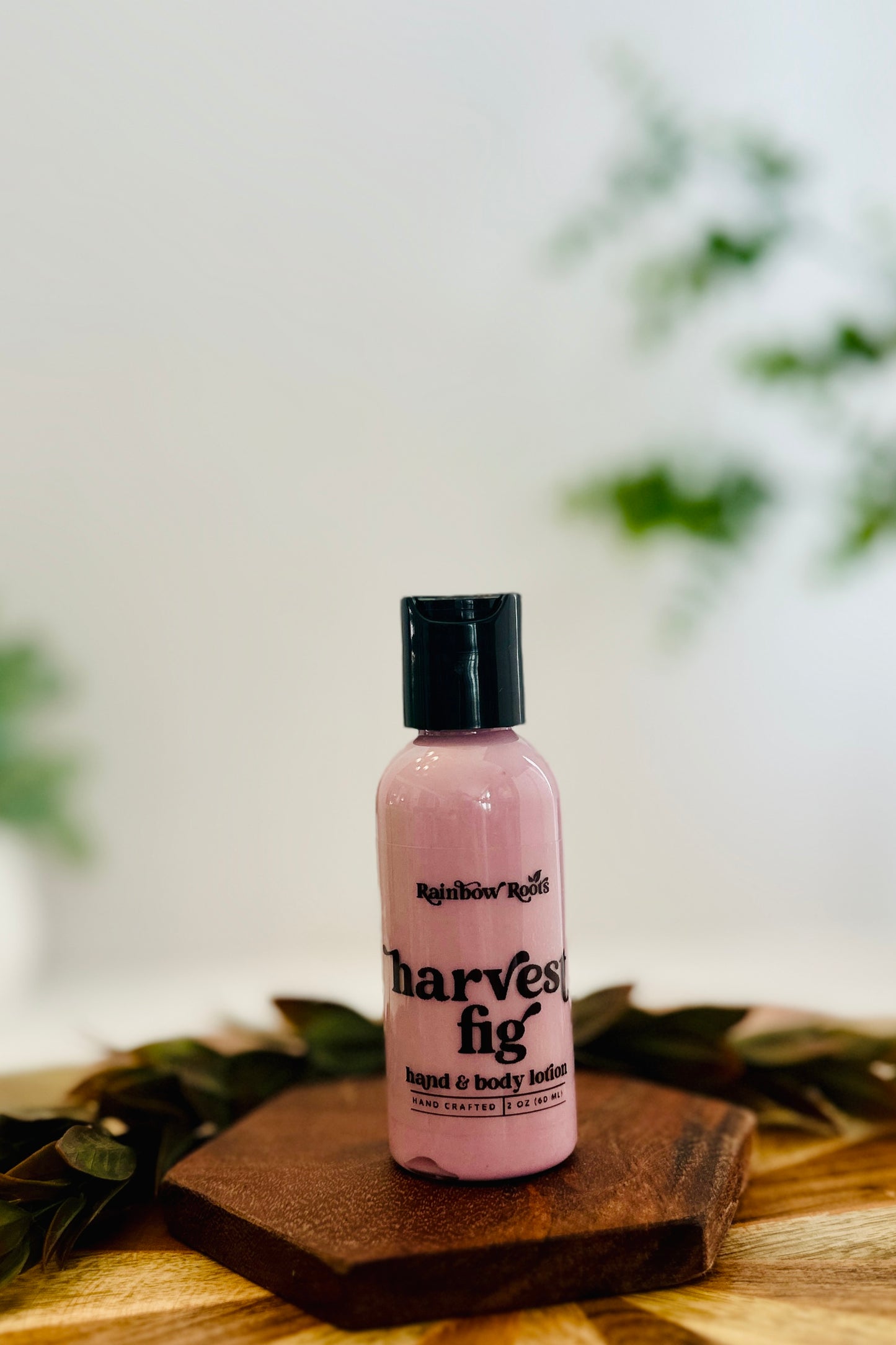 Harvest Fig Hand & Body Lotion | Handcrafted - Lightweight - Small Batch | Rainbow Roots