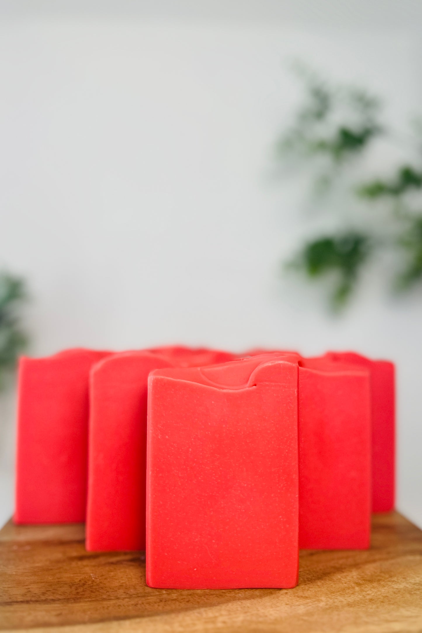 Cranberry & Orange Spice | Handcrafted Vegan Cold Process Soap 4oz | Rainbow Roots