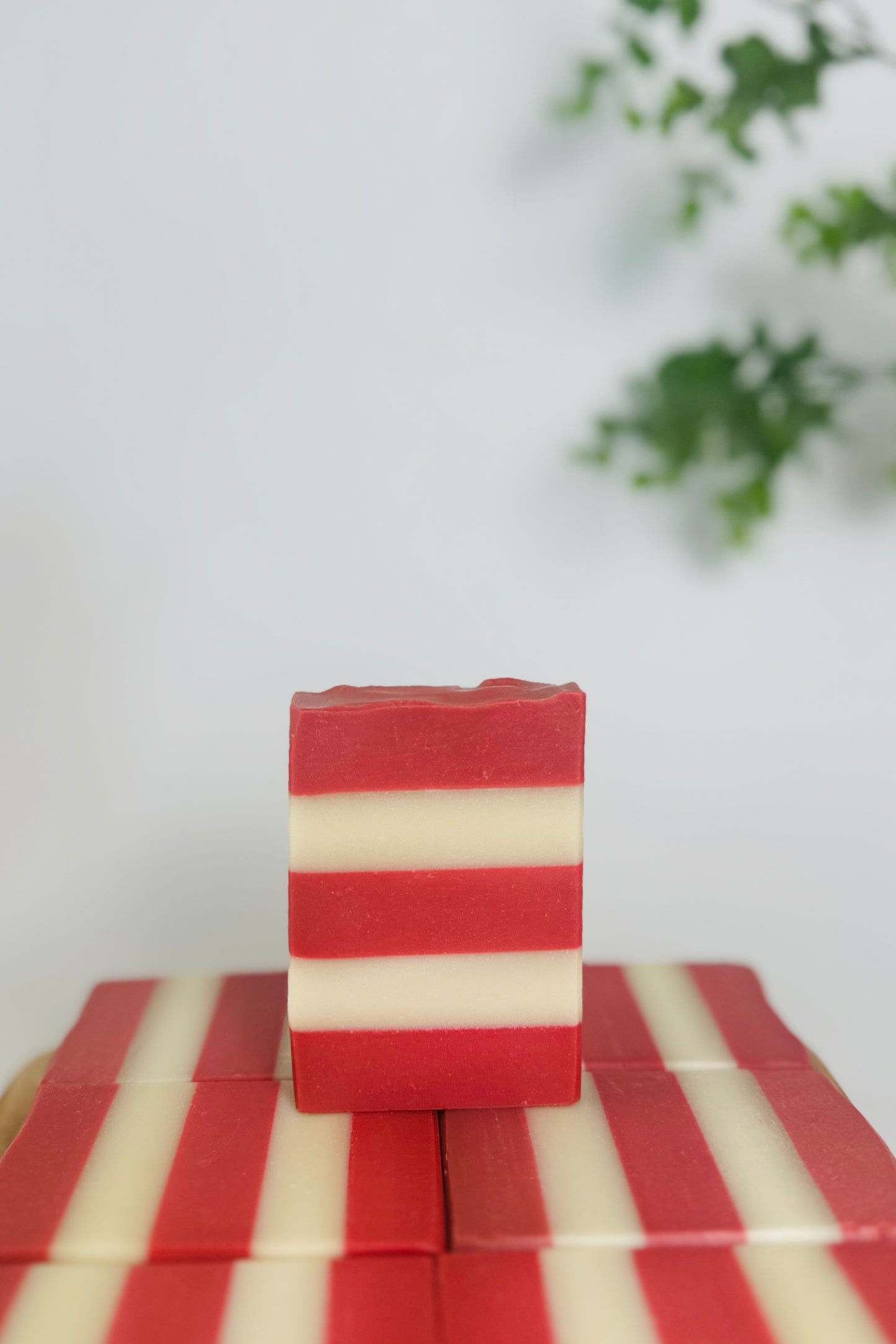 Peppermint | Handcrafted Vegan Cold Process Soap 4oz | Rainbow Roots