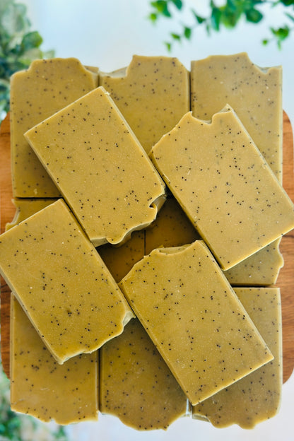 Cactus & Sea Salt - Exfoliating | Handcrafted Vegan Cold Process Soap 4oz | Rainbow Roots