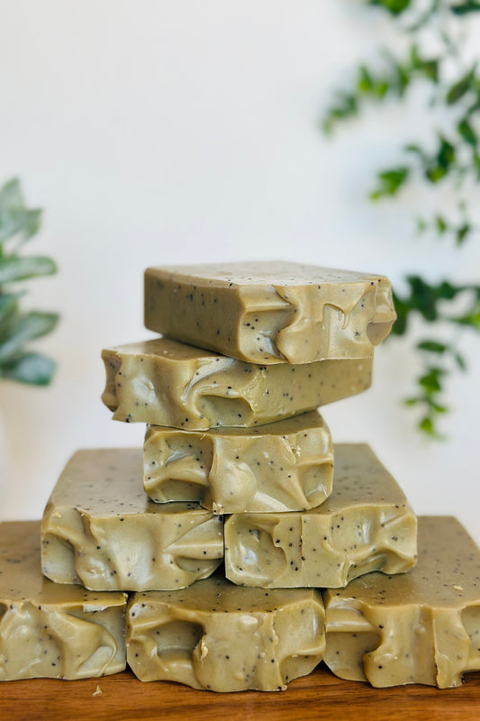 Cactus & Sea Salt - Exfoliating | Handcrafted Vegan Cold Process Soap 4oz | Rainbow Roots