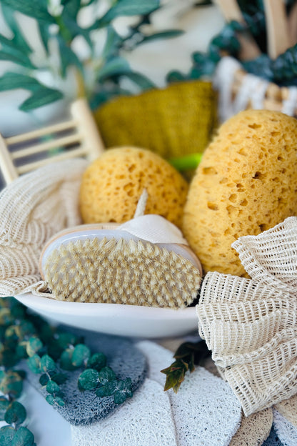 Natural Sea Sponge | Bath Sponge Accessory | Rainbow Roots