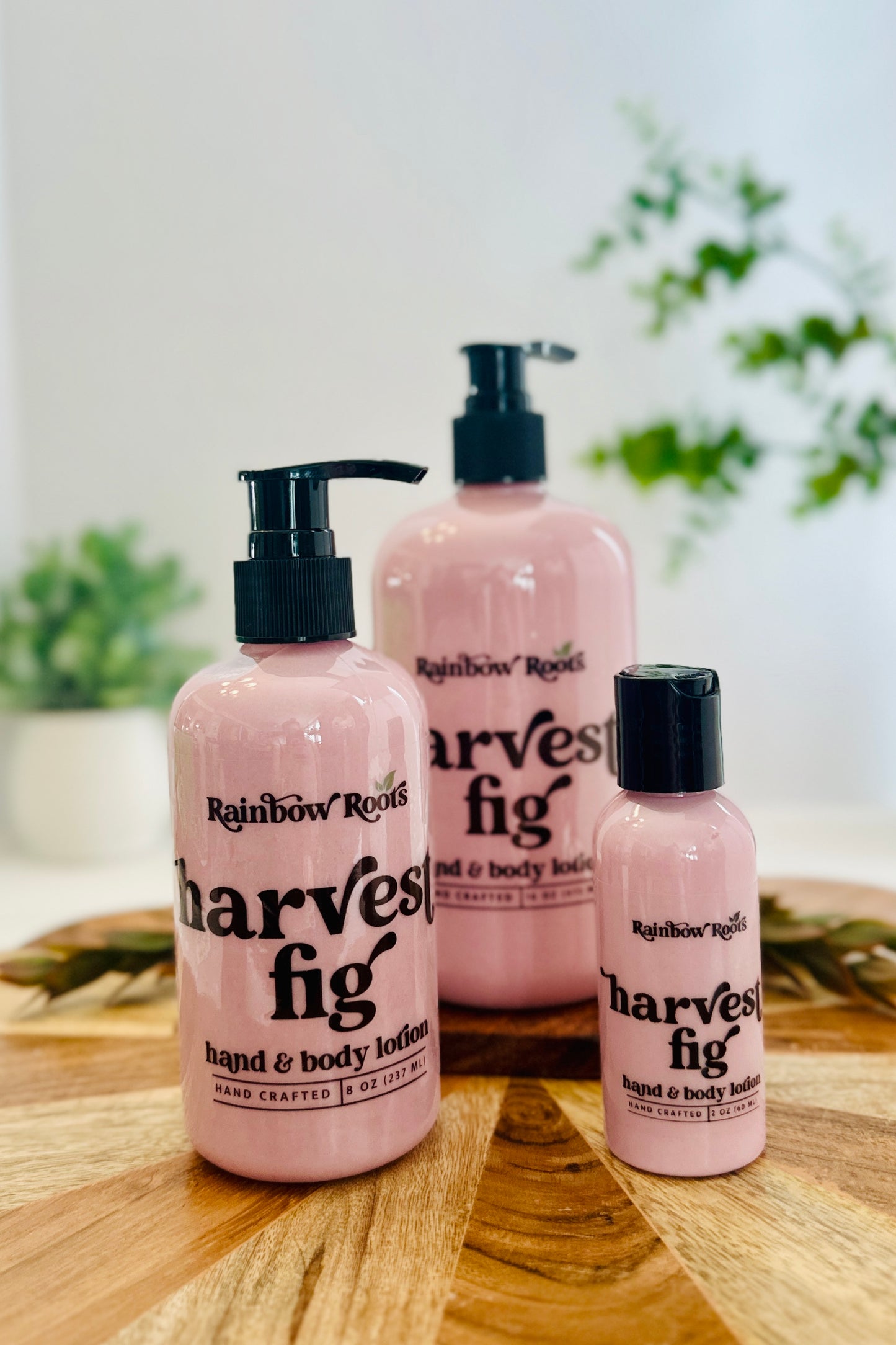 Harvest Fig Hand & Body Lotion | Handcrafted - Lightweight - Small Batch | Rainbow Roots